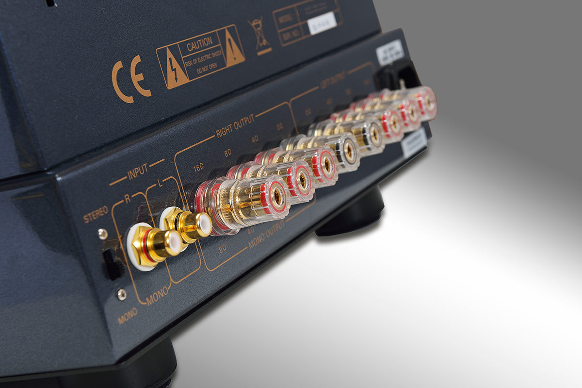 PrimaLuna EVO 100 Tube Power Amplifier at Martins Hi-Fi