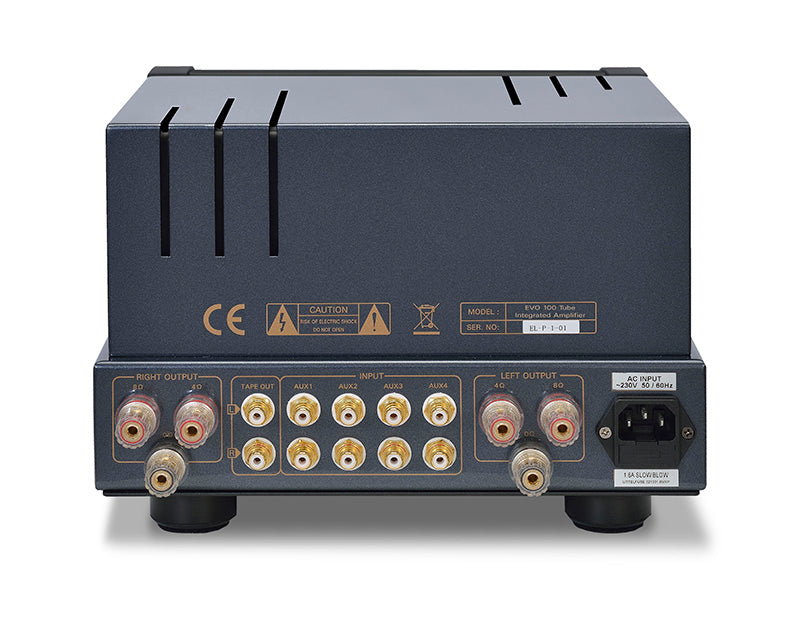 PrimaLuna EVO 100 Tube Integrated Amplifier at Martins Hi-Fi