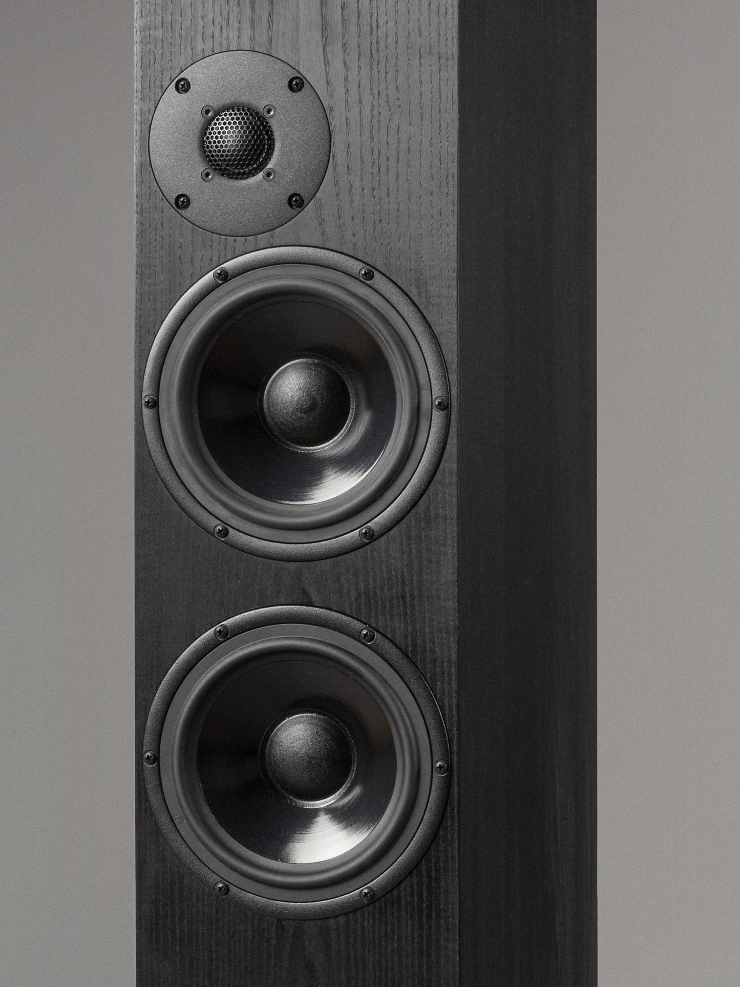 OePhi Ascendance 2.5 - Martins Hi-Fi