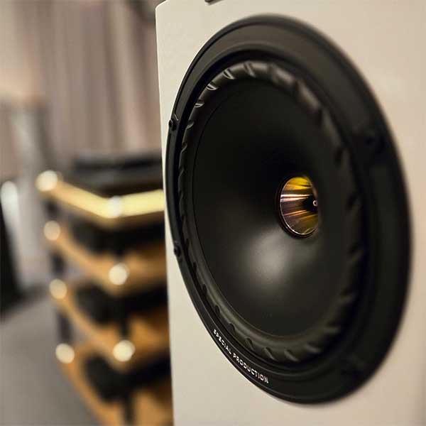 close up fyne audio f701sp