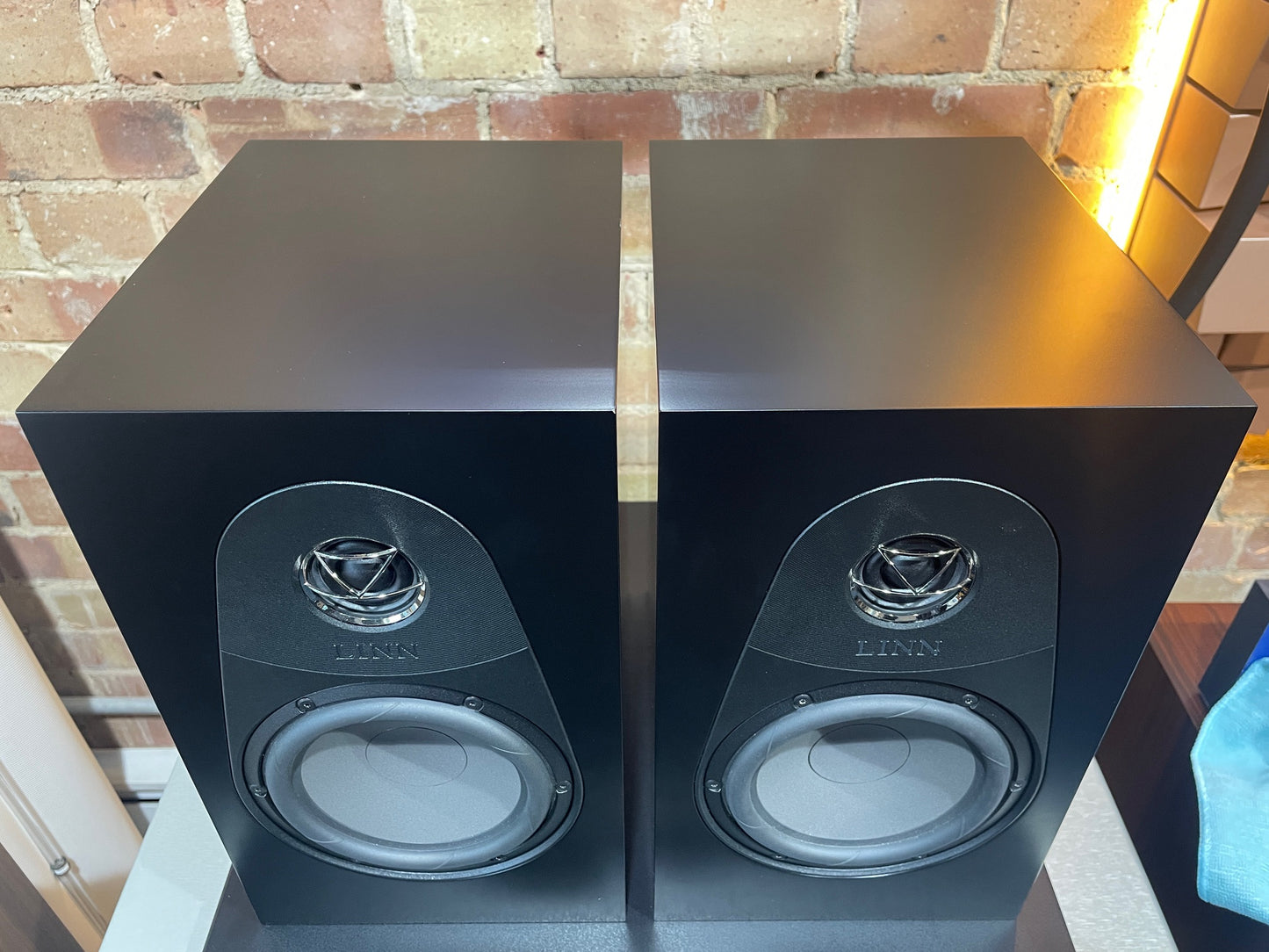 CLEARANCE SALE: Linn 119 Standmount Loudspeakers – Black