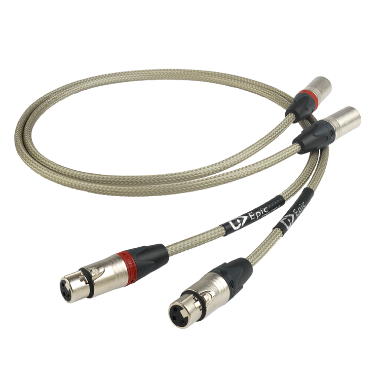 Chord Epic Analogue XLR