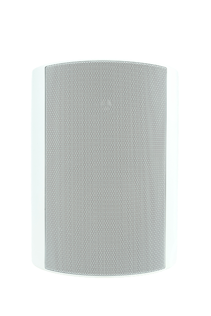 Triad Outdoor OD25 - Martins Hi-Fi