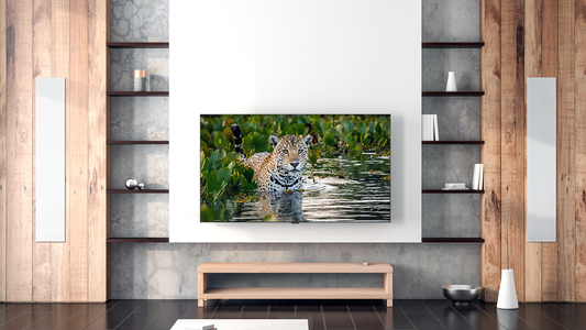 Meridian DSP in-wall speakers / Martins Hi-Fi