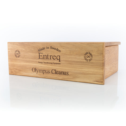 Entreq Olympus Cleanus passive mains filter in silver finish