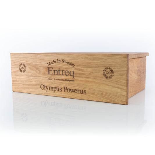 Entreq Olympus Powerus mains distribution block in silver finish