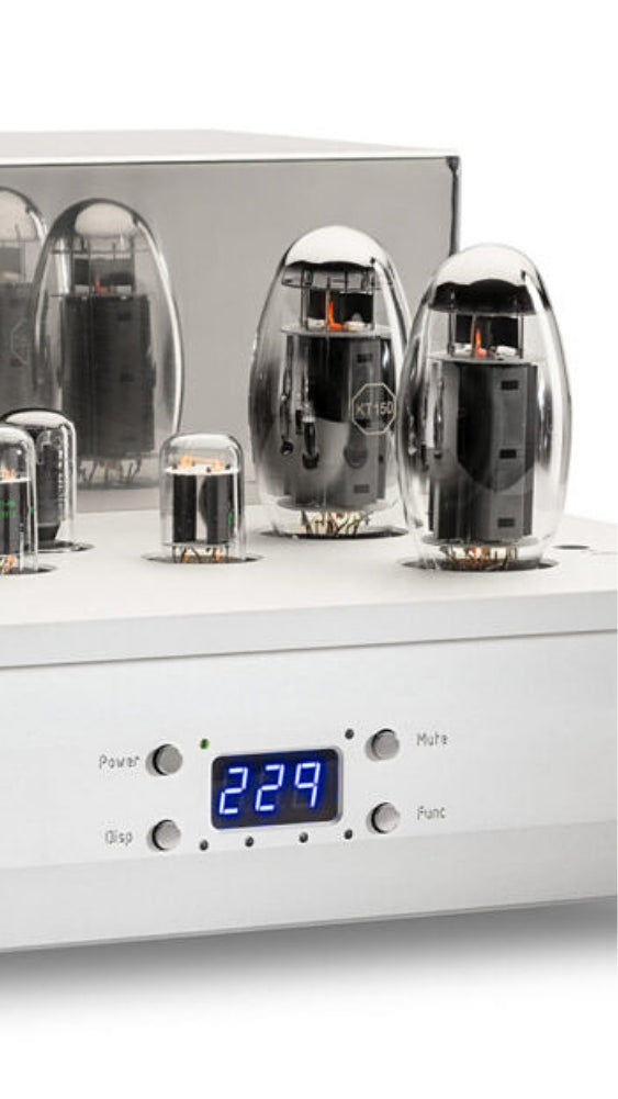 Doshi Audio Evolution Monoblock Amplifiers (Pair) - Reference Class A Power