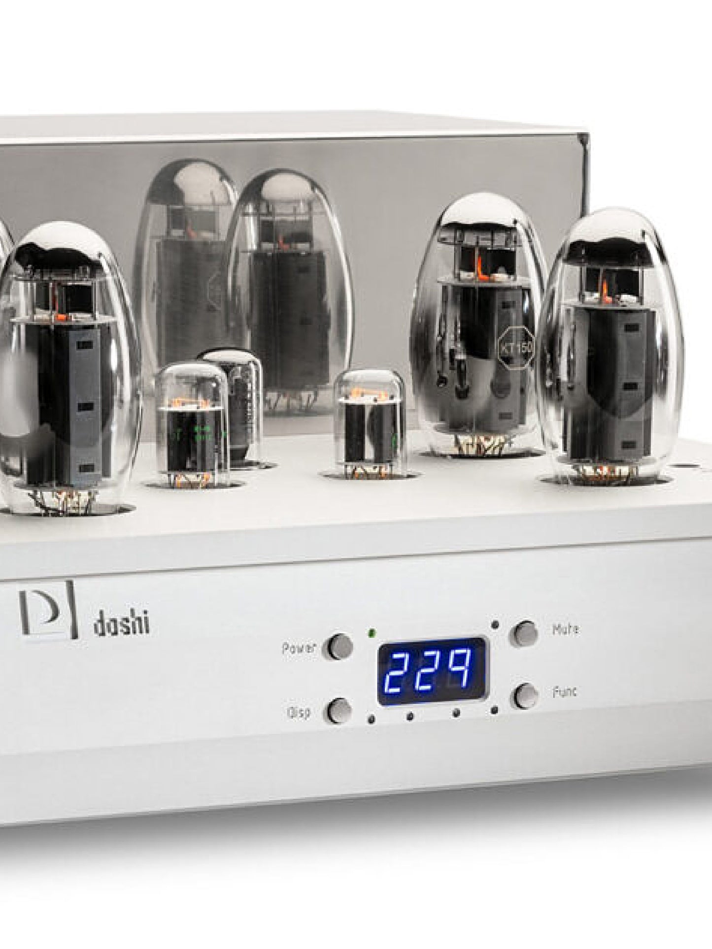 Doshi Audio Evolution Monoblock Amplifiers (Pair) - Reference Class A Power