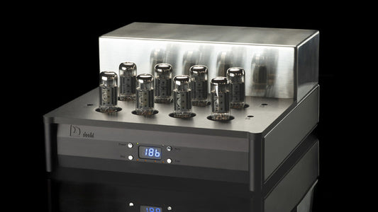 Doshi Audio Evolution Stereo Amplifier