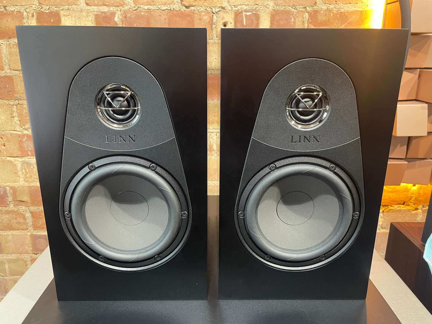 CLEARANCE SALE: Linn 119 Standmount Loudspeakers – Black