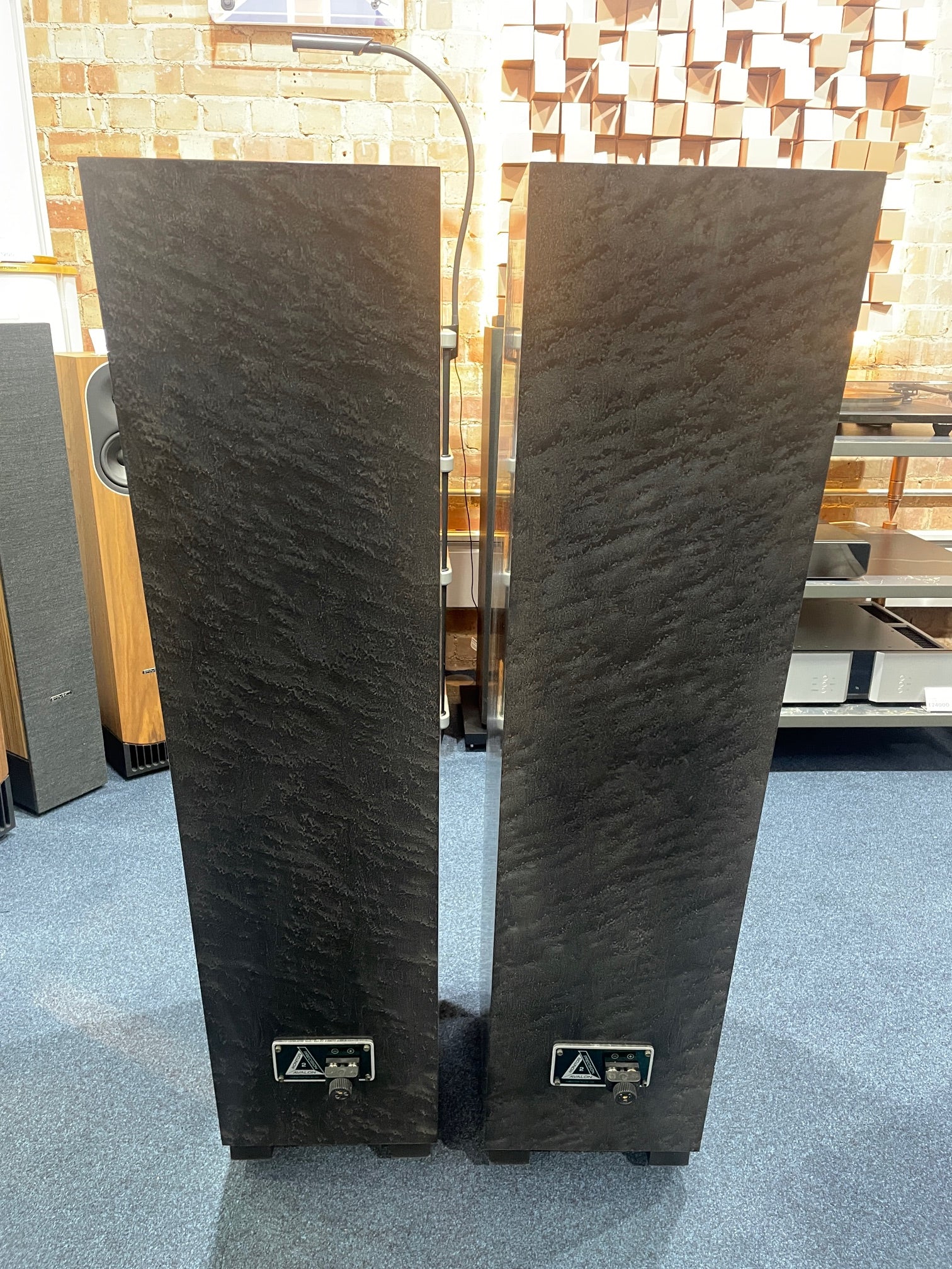 Avalon PM2.2
Dark Polychrome Floorstanding Loudspeakers | Ex-Demonstration rear 