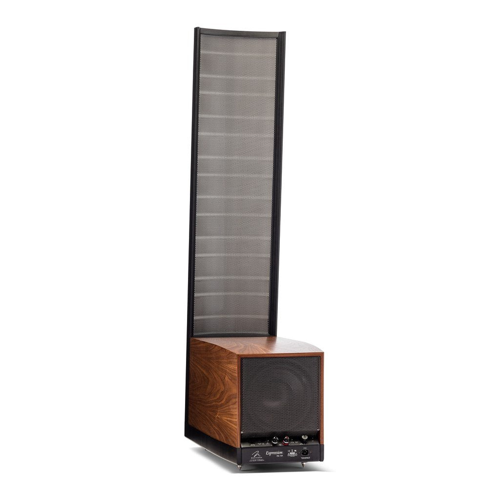 Martin Logan Impression ESL 13A - Martins Hi-Fi